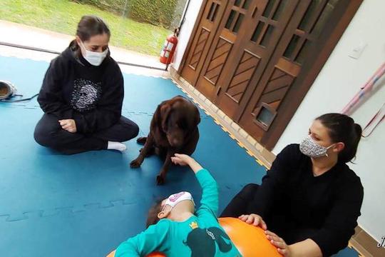 Treinando o cão para atividade do Aikido