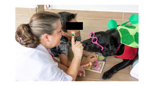 Animal Assisted Education (AAE)