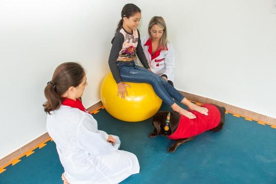 Physiotherapy